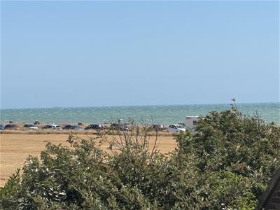 Picture 20